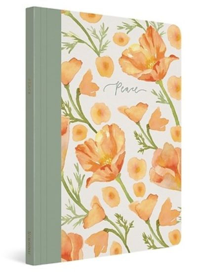 Picture of ESV Prayer Journal