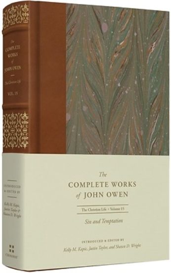Picture of Sin and Temptation (Volume 15)