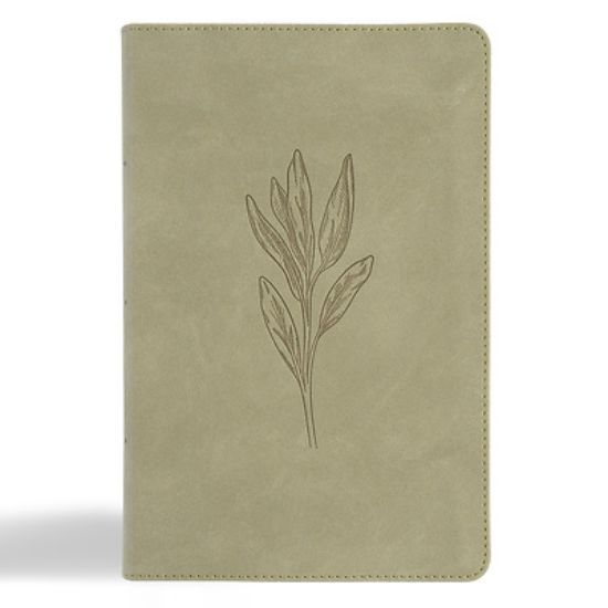 Picture of CSB Large Print Personal Size Reference Bible, Digital Study Edition, Sage Suedesoft Leathertouch, Indexed