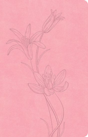 Picture of CSB Thinline Bible, Value Edition, Soft Pink Leathertouch
