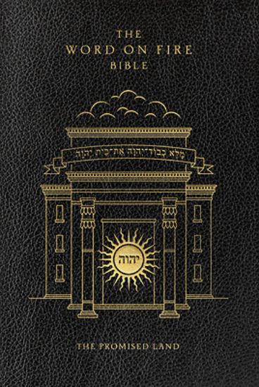 Picture of The Word on Fire Bible