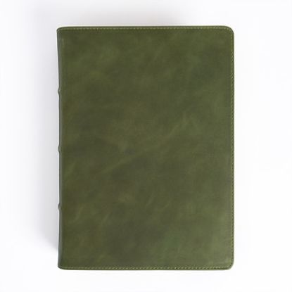 Picture of CSB She Reads Truth Bible, Holman Handcrafted Collection, Olive Premium Calfskin