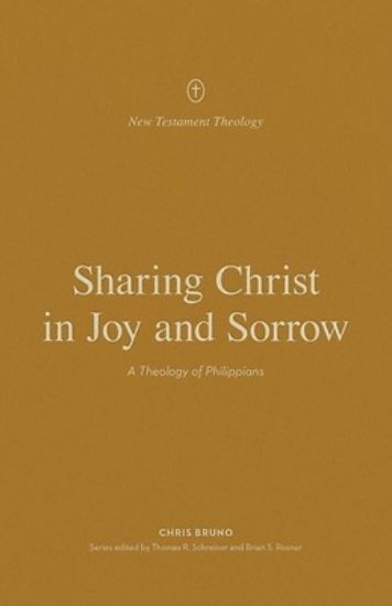 Picture of Sharing Christ in Joy and Sorrow