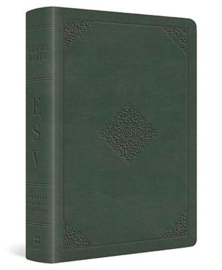 Picture of ESV Study Bible, Personal Size (Trutone, Quiet Forest, Ornament Design)