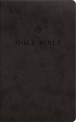 Picture of ESV Premium Church Bible, Large Print, Red Letter (Trutone, Black)