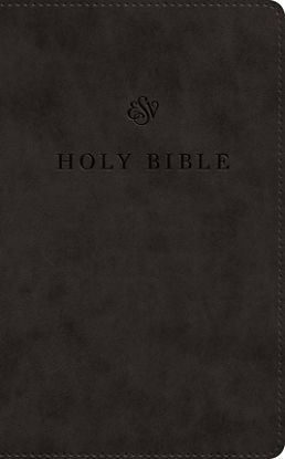 Picture of ESV Premium Church Bible, Large Print, Red Letter (Trutone, Black)