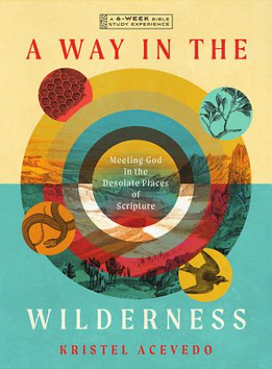 Picture of A Way in the Wilderness