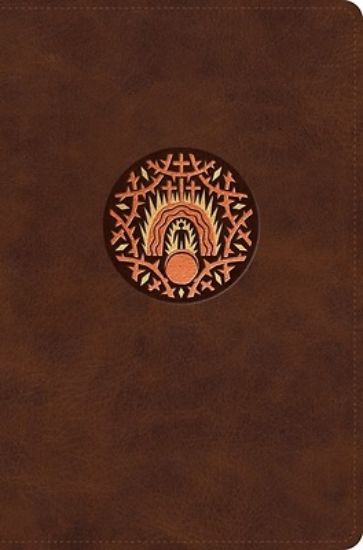 Picture of The Biggest Story Holy Bible for Kids (Trutone, Brown, Living Hope Design, Indexed)