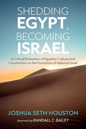 Picture of Shedding Egypt Becoming Israel