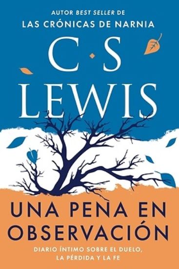 Picture of Una Pena En Observación