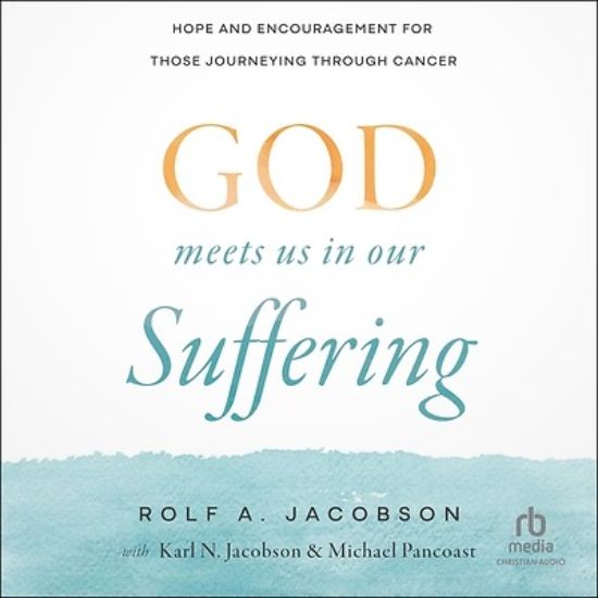 Picture of God Meets Us in Our Suffering