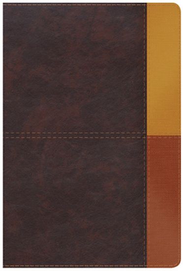 Picture of Rvr 1960 Biblia de Estudio Arcoiris, Gris Pizarra/Oliva Símil Piel Con Índice