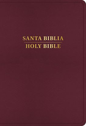 Picture of Rvr 1960/KJV Biblia Bilingüe Letra Grande, Borgoña Imitación Piel, Con Índice (2024 Ed.)