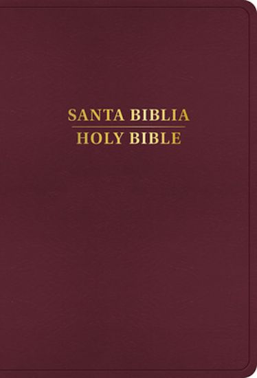 Picture of Rvr 1960/KJV Biblia Bilingüe Letra Grande, Borgoña Imitación Piel, Con Índice (2024 Ed.)
