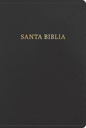 Picture of Rvr 1960 Biblia Letra Gigante, Negro, Imitación Piel (2023 Ed.)