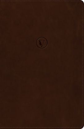 Picture of Rvr 1960 Biblia de Estudio de César Vidal, Café Símil Piel
