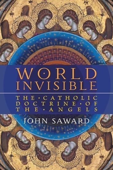 Picture of World Invisible