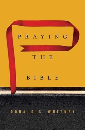 Picture of Praying the Bible