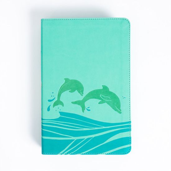 Picture of KJV Easy-For-Me Bible for Early Readers, Seafoam Leathertouch