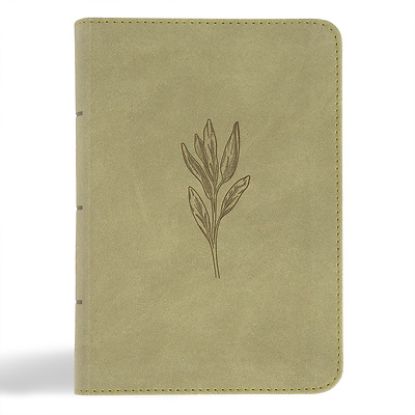 Picture of NASB Large Print Compact Reference Bible, Sage Suedesoft Leathertouch