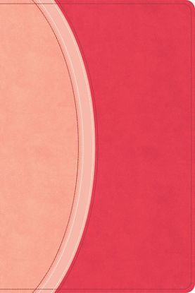 Picture of CSB Rainbow Study Bible, Pink Leathertouch (Limited Edition)
