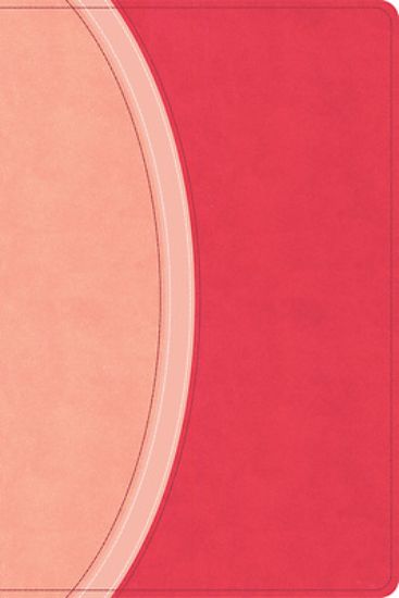 Picture of CSB Rainbow Study Bible, Pink Leathertouch (Limited Edition)