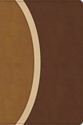 Picture of CSB Rainbow Study Bible, Brown Leathertouch (Limited Edition)