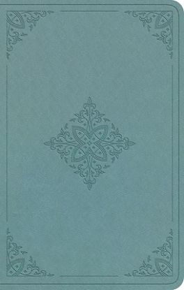 Picture of ESV Premium Gift Bible (Trutone, Paris Sky, Fleur-De-Lis Design)
