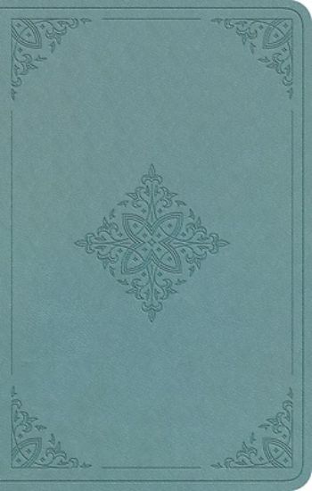 Picture of ESV Premium Gift Bible (Trutone, Paris Sky, Fleur-De-Lis Design)