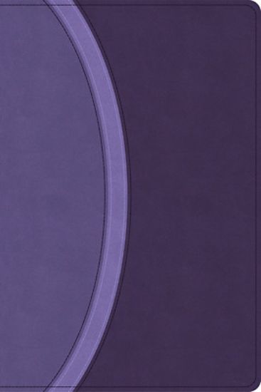 Picture of CSB Rainbow Study Bible, Purple Leathertouch (Limited Edition)