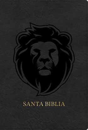 Picture of Rvr 1960 Biblia Letra Grande Tamaño Manual Edición Especial, Ceniza, Símil Piel