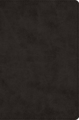 Picture of ESV Large Print Bible (Trutone, Black)