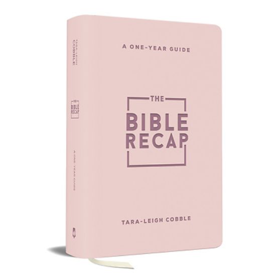 Picture of The Bible Recap