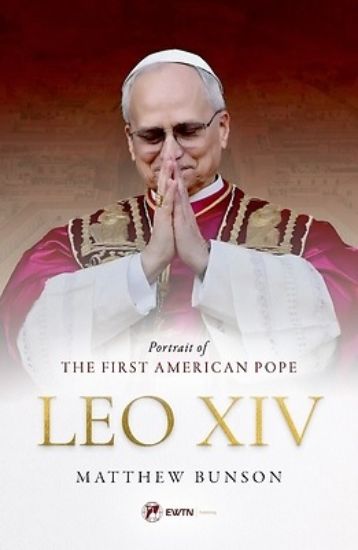 Picture of Leo XIV