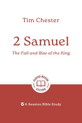 Picture of 2 Samuel