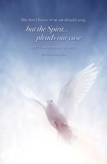 Picture of Word Alive! Weekly Bulletin without Message-Week 20, Legal Size (Package of 25)
