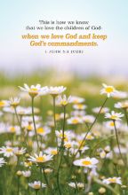 Word Alive! Weekly Bulletin without Message-Week 18, Letter Size (Package of 25)