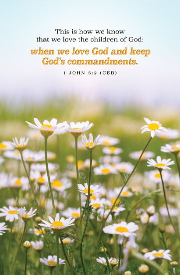 Picture of Word Alive! Weekly Bulletin without Message-Week 18, Legal Size (Package of 25)