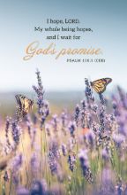 Word Alive! Weekly Bulletin without Message-Week 26, Legal Size (Package of 25)