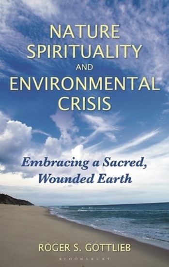 Picture of Nature Spirituality and Environmental Crisis