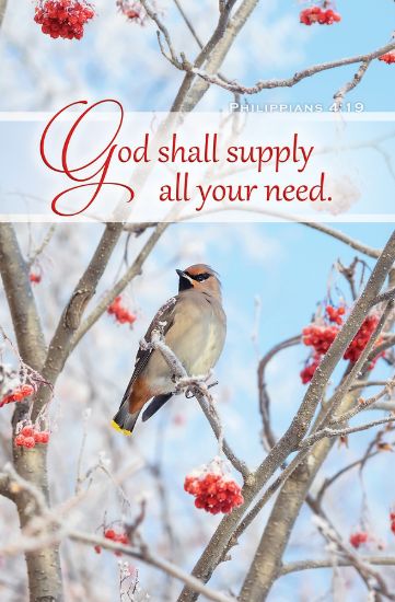 Picture of Bird in Berry Tree Bulletin Regular Philippians 4:19