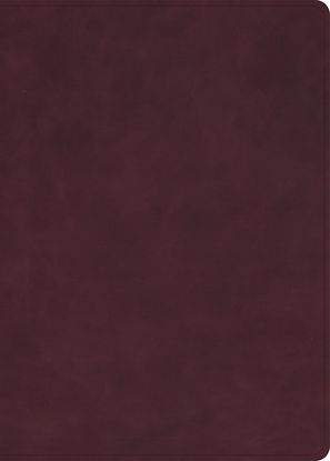 Picture of KJV Single-Column Wide-Margin Bible, Holman Handcrafted Collection, Marbled Burgundy Premium Calfskin