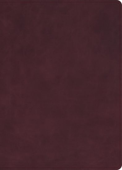 Picture of KJV Single-Column Wide-Margin Bible, Holman Handcrafted Collection, Marbled Burgundy Premium Calfskin