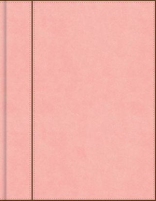 Picture of CSB Notetaking Bible, Pink Leathertouch