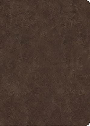 Picture of CSB Lumen Dei Bible, Lux Vitae