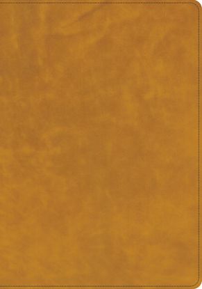Picture of CSB Lumen Dei Bible, Lux Vitae