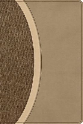 Picture of CSB Rainbow Study Bible, Brown Leathertouch