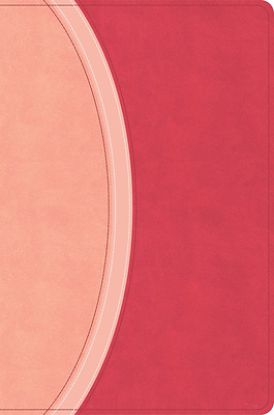 Picture of CSB Rainbow Study Bible, Pink Leathertouch