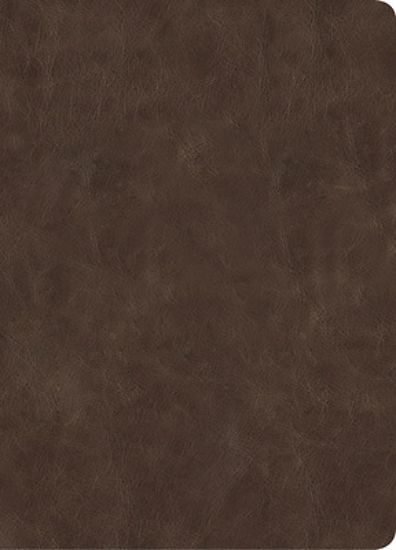 Picture of CSB Lumen Dei Bible, Lux Gloriae
