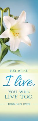 Picture of Because I Live Easter Lilys 2' x 6' Banner